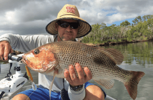 fishing Hinchinbrook