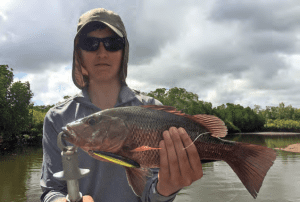 Fishing Hinchinbrook