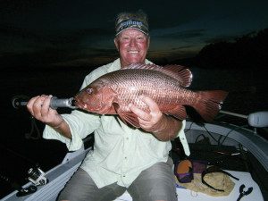 The author trolled up this jack on a pink Digga lure at night in the Nerang River. 