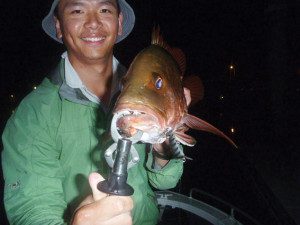 Johnny Chow landed this great jack by trolling one of the author’s Digga lures in the Tweed River.