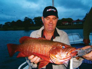 Terry Finch with a quality fish caught while trolling at the start of the fruit bat period. 