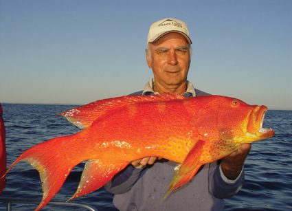 Terry Lamprecht with a sizeable coronation trout extracted from a big reef system east of Sandy Cape on Fraser Island. 