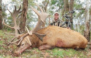 An absolute trophy of a red deer. The author worked extremely hard to take down this massive stag.