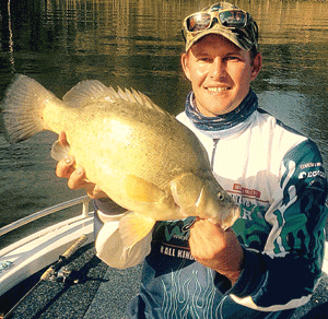 The author with a very fat yellowbelly.