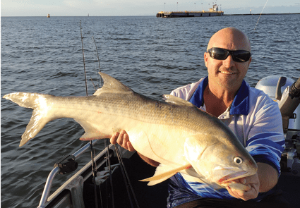 Chris Stratford with a terrific threadfin from the mouth of the Brisbane River.