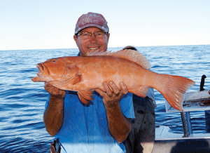 The Venom two-piece 10-20lb rod easily toyed with good size quality trout.