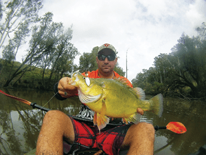 The author with a beautifully coloured yellowbelly.