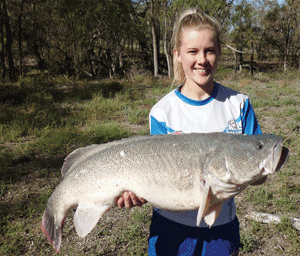 Tiffany Ciesiolka fished off the bank and applied straightforward yellowbelly tactics to land this solid cod, proving truth in the saying: “Big hooks catch big fish but small hooks catch all fish.”