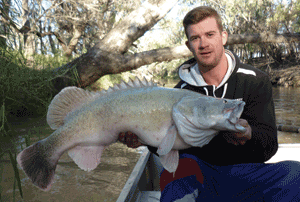 Brodie Ciesiolka used a boat for better access and cast lightly weighted worm rigs into the slower back eddies for golden perch but was greeted with a much better surprise.