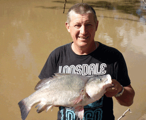 Brett Ciesiolka wasn’t disappointed to capture a quality yellowbelly considering the rest of the fishing family was engaging Murray cod on similar worm offerings.