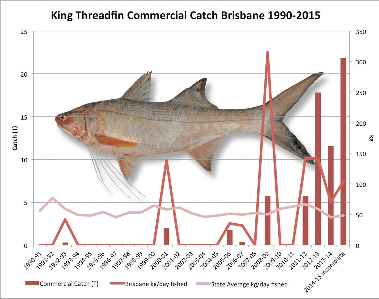 Brisbane River commercial threadfin catch history.