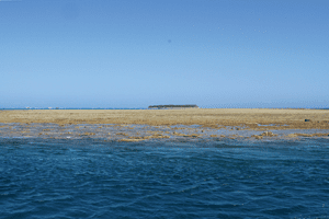 A view of Lady Musgrave Island.