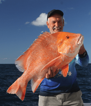 Almost 20kg of red emperor landed east of Heron Island.