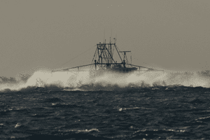 A trawler doing it tough near Lady Musgrave Island.