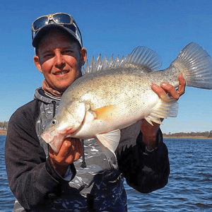 A 54cm Barambah yellowbelly taken on an Ecogear VX blade.