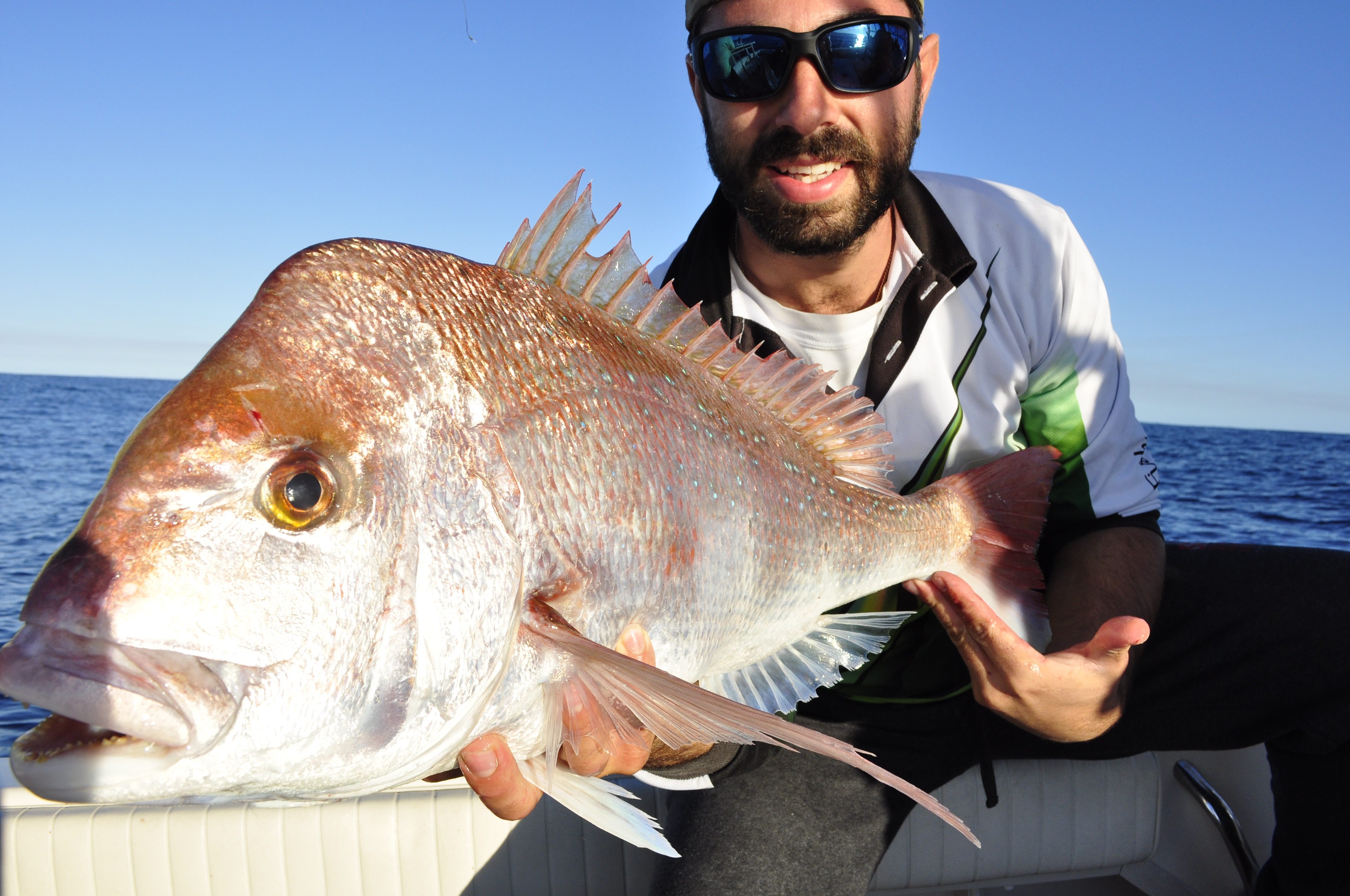 This snapper was boated by Peter about midday using the float line technique described in the article.