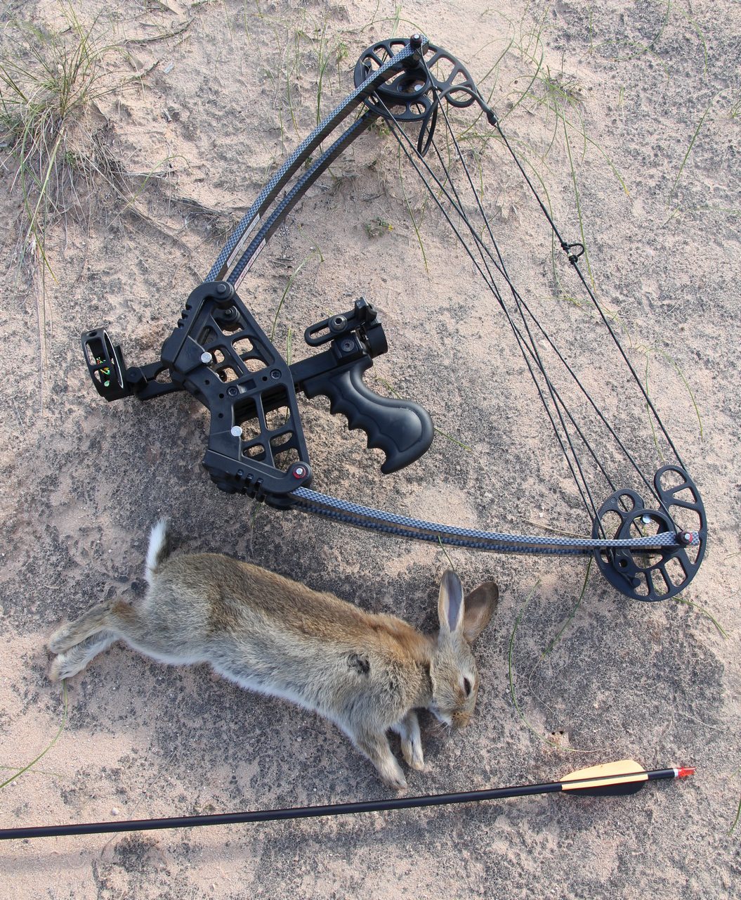 Accuracy is not lacking, allowing tiny targets such as rabbits to be hunted.