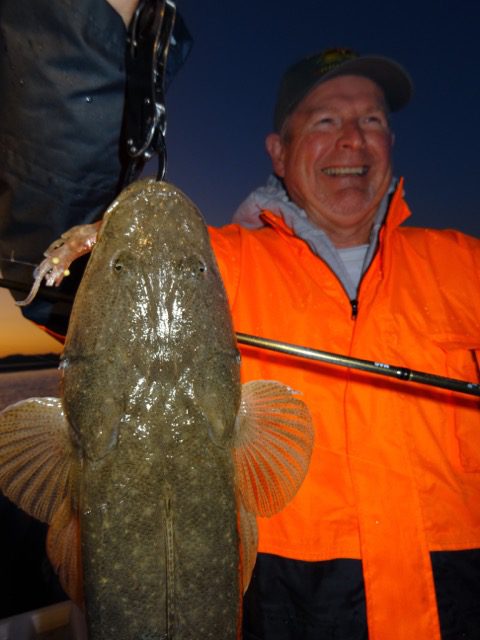 Jeff with an early winter morning Flathead caught on Zerek live shrimp