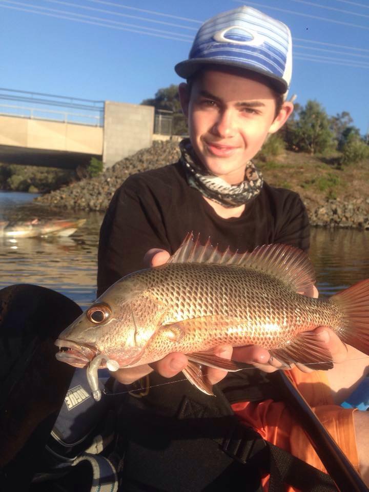 Nick with a mangrove jack. They’re starting to come on with warmer weather.