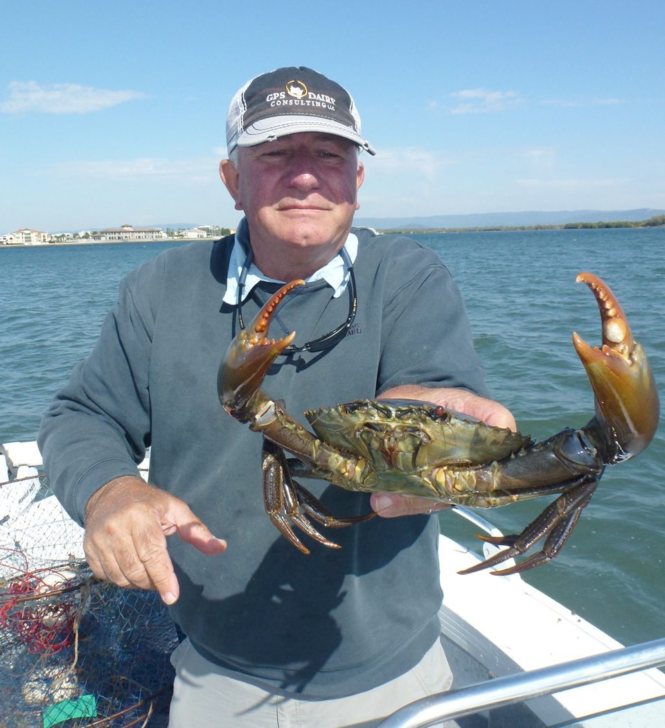 Mud crabs have been hard to find but when you do locate them they are good, like this one Lindsay nabbed.