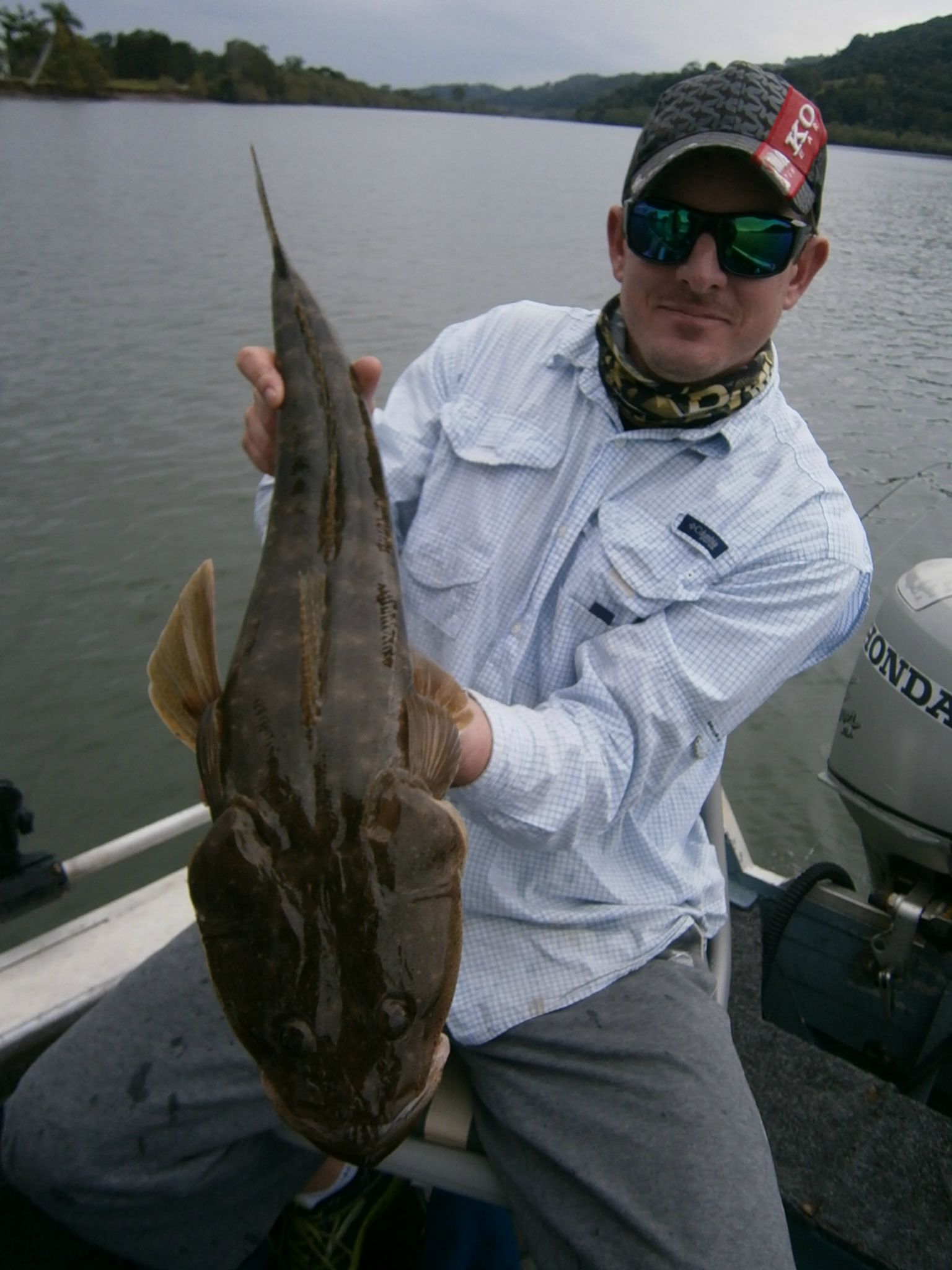 The good old flathead will just about always be the first species to attack a well-trolled lure.