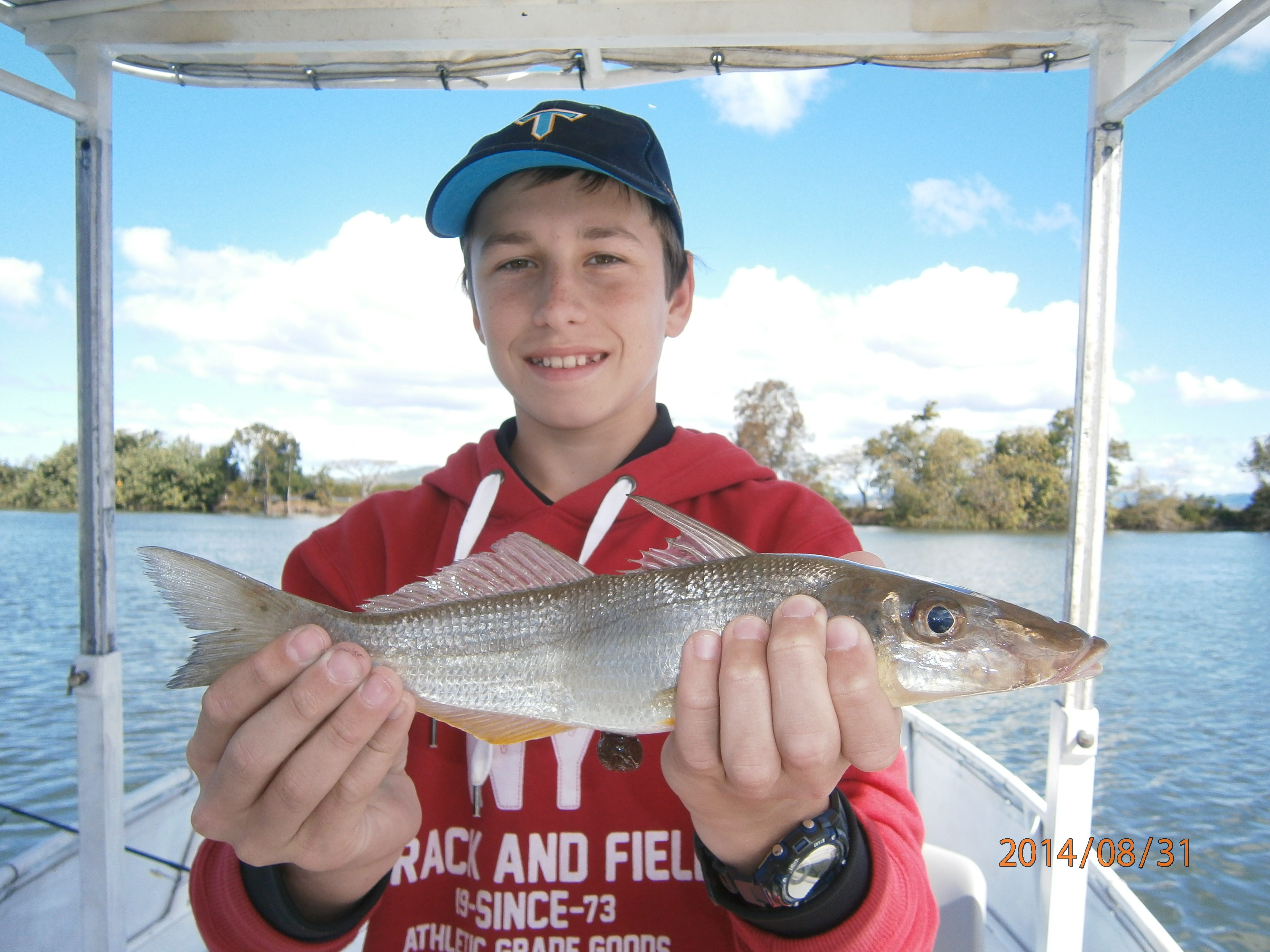 As we move towards summer, solid whiting such as this one will become prolific takers of trolled lures. 