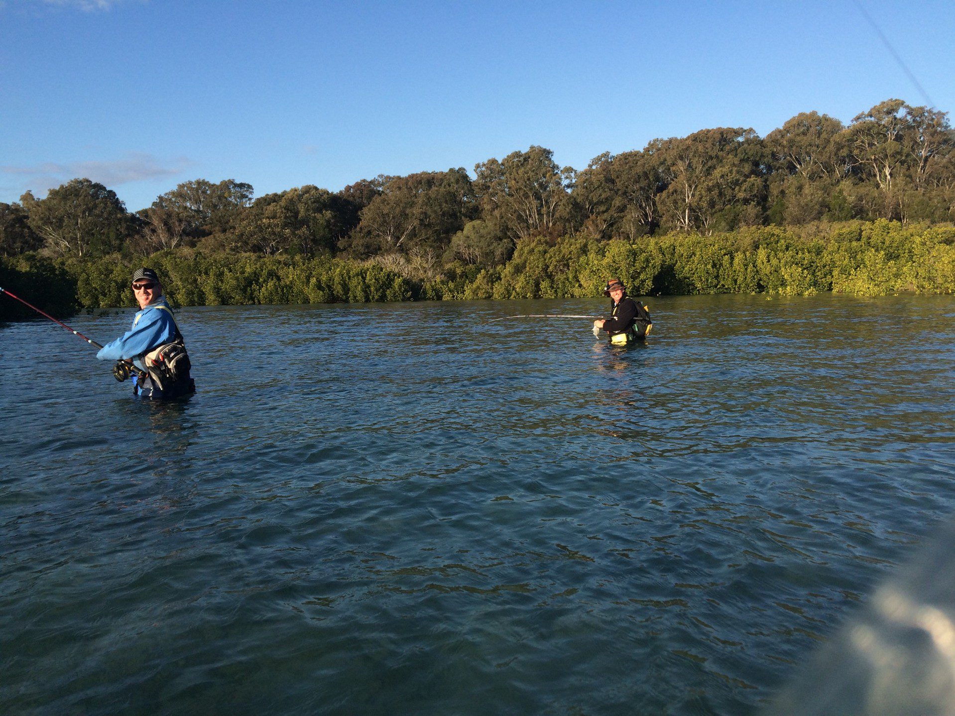 The whiting and bream turned it on around the mangroves at high tide.