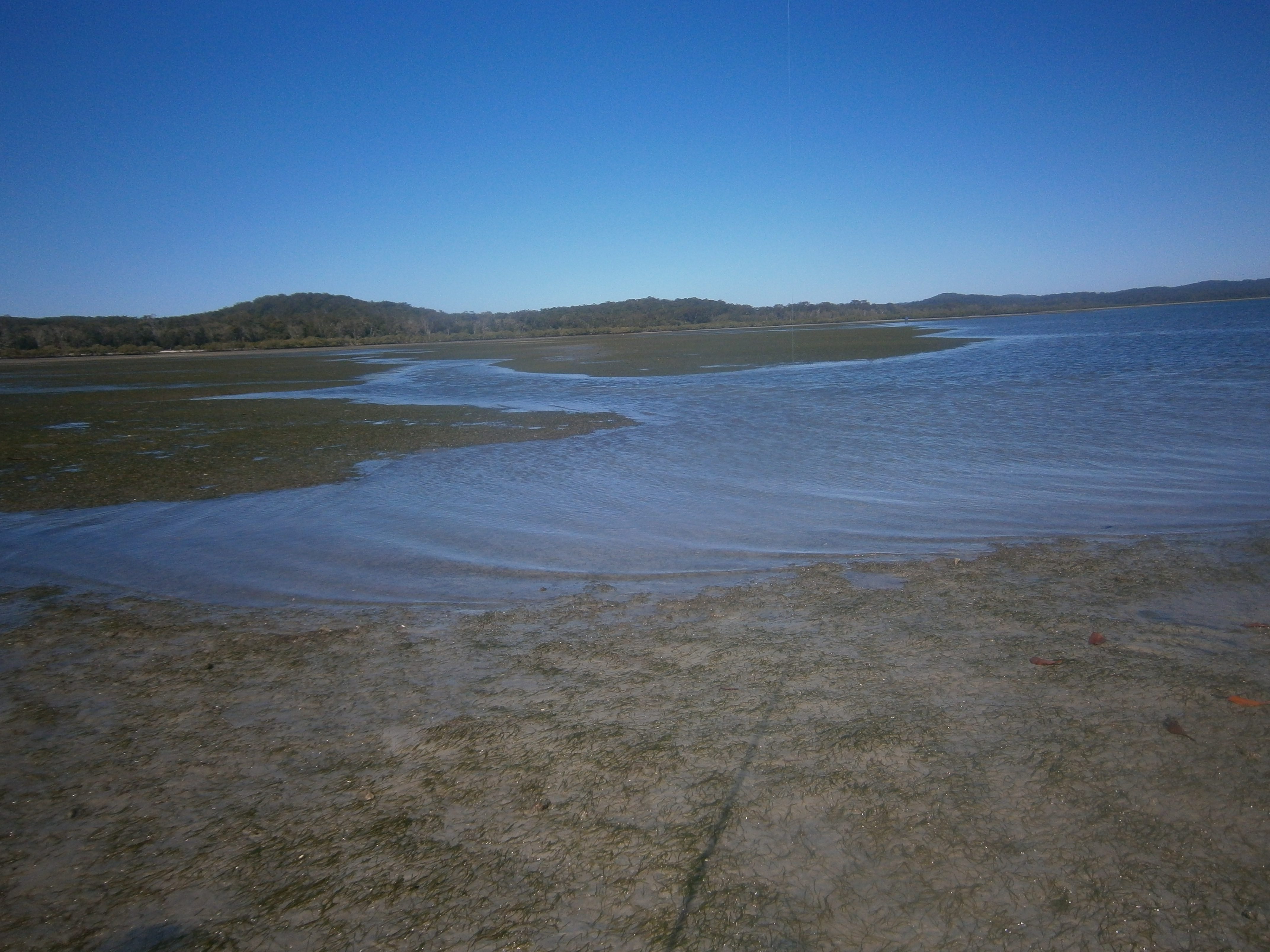 The entrances of drains and sandy, weed-covered flats are prime flatty territory.