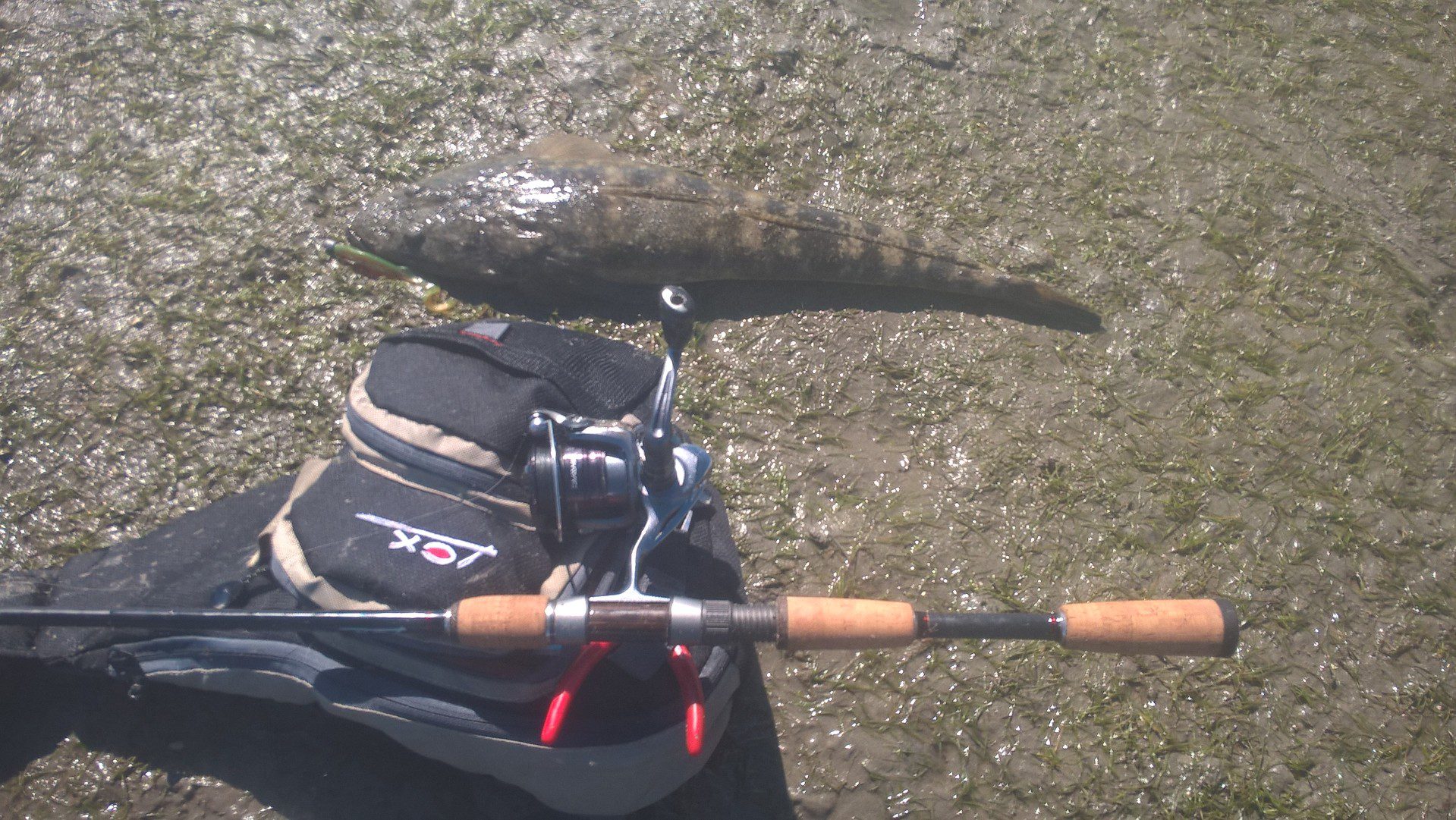 The author’s flathead tackle of choice including the very handy Lox shoulder bag.