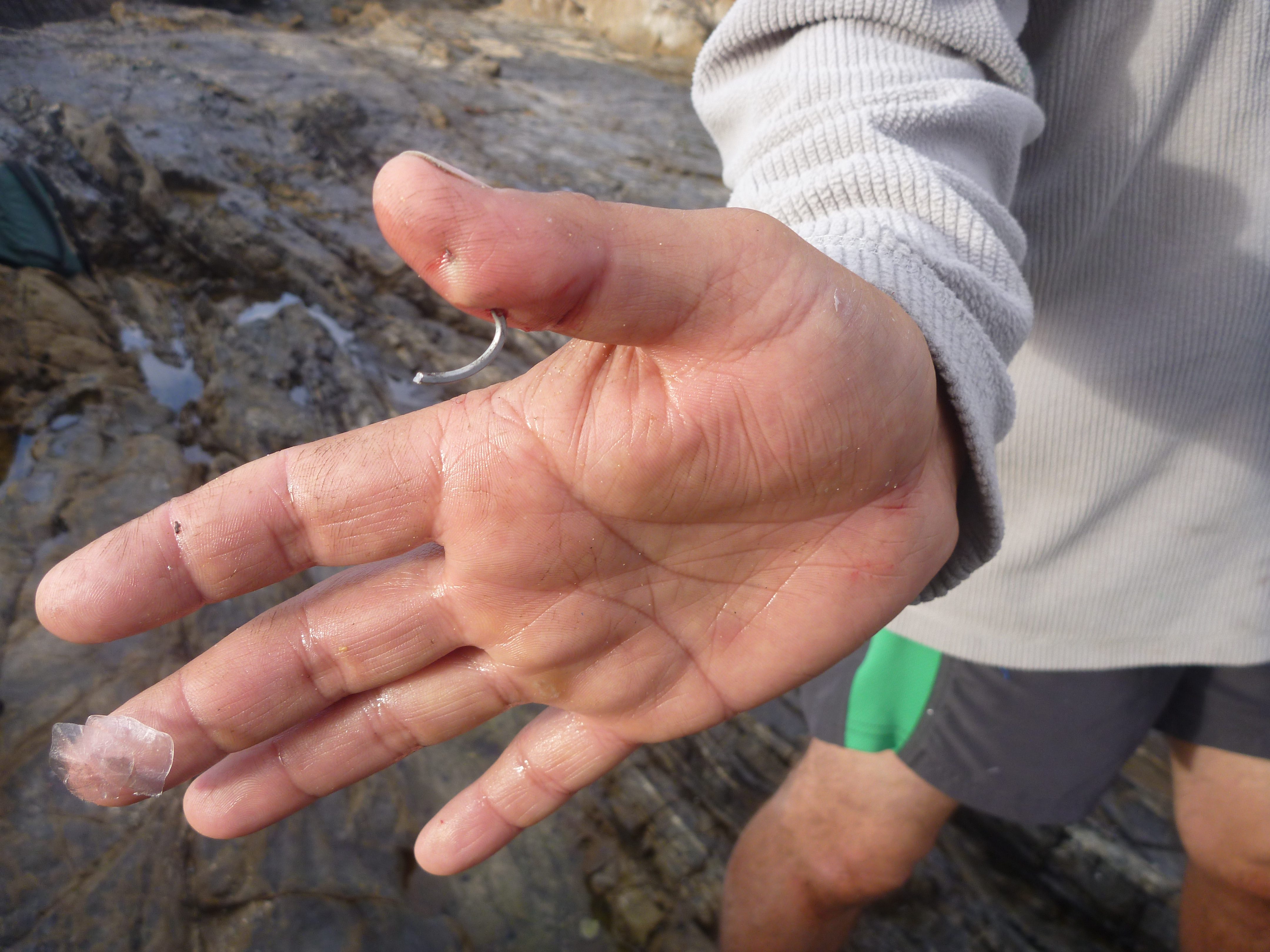 Always carry pliers on the rocks in case your mates get hooked up too.