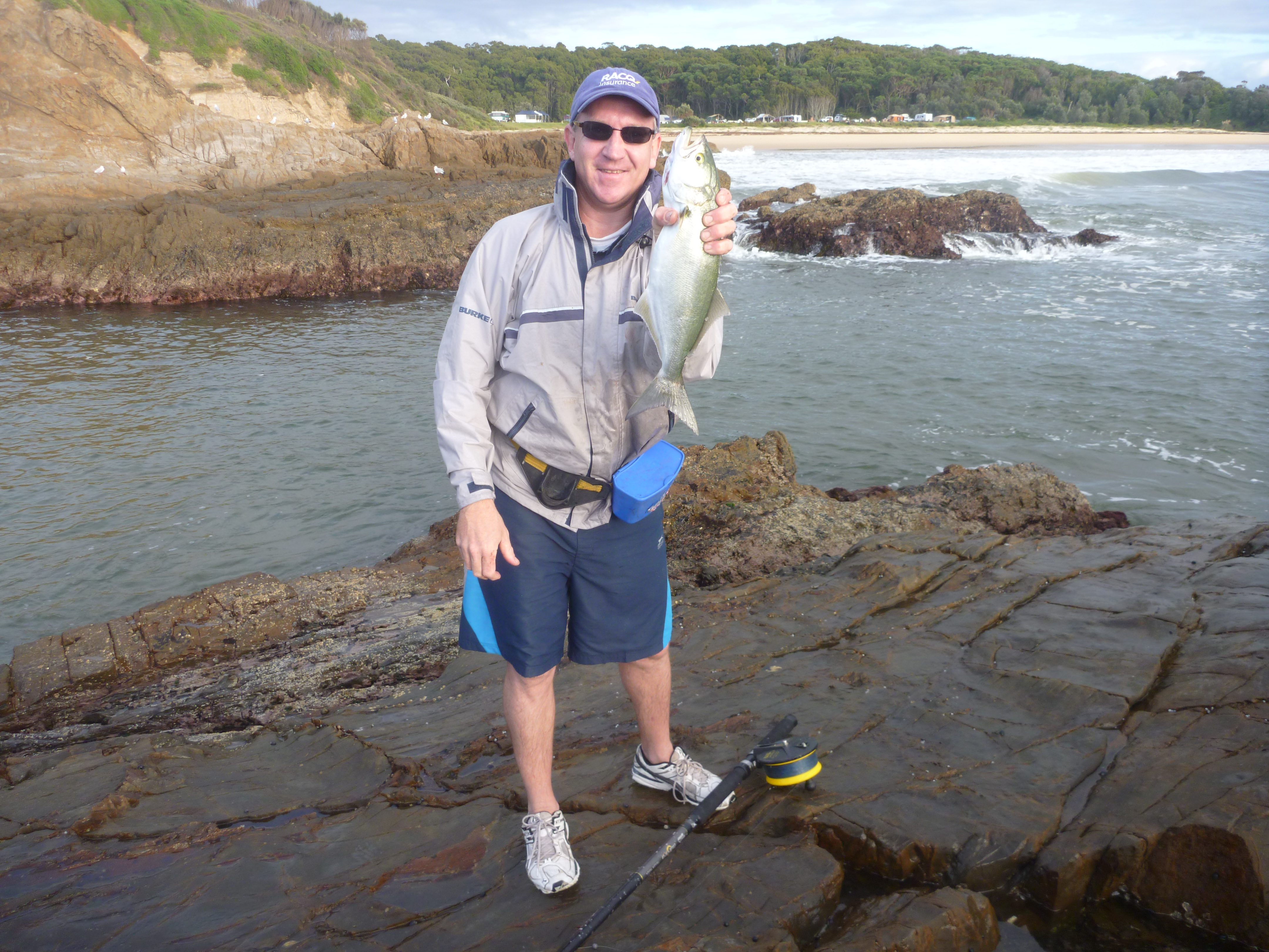 A solid tailor taken in a light swell off the rocks