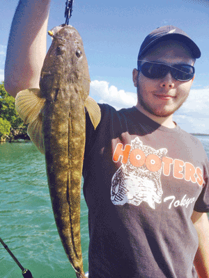 A fair few decent size flathead are around and quite willing to take a soft plastic cast at the mangroves in shallow water.