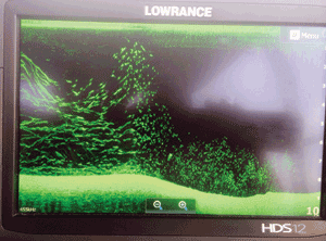 This is what the bait schools looked like on the Lowrance sounder just before Ruben and Catherine hooked their jewies. 