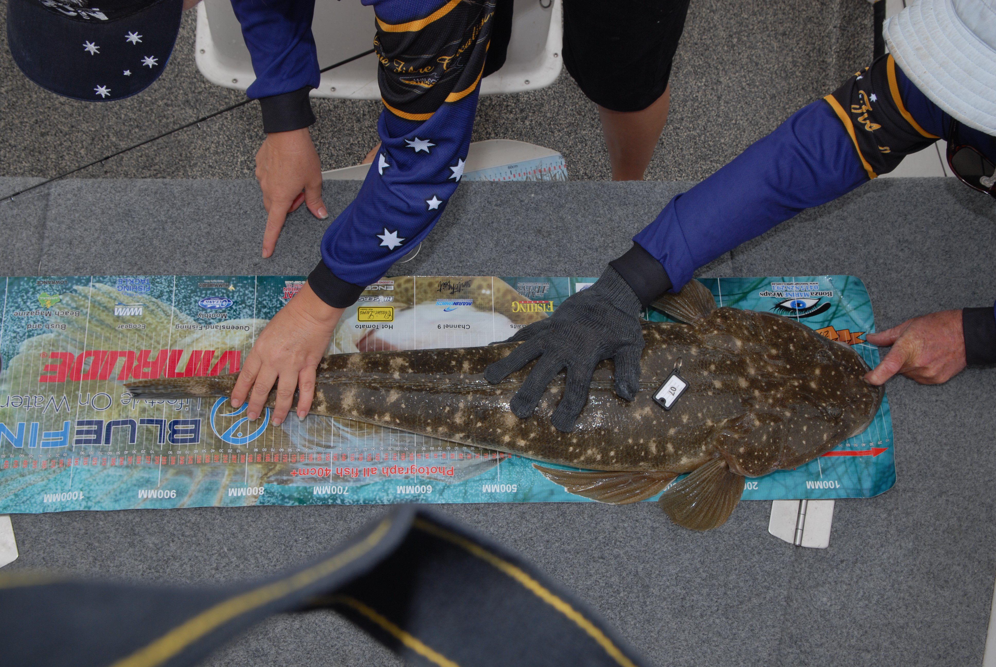 The big girl was measured for the event.