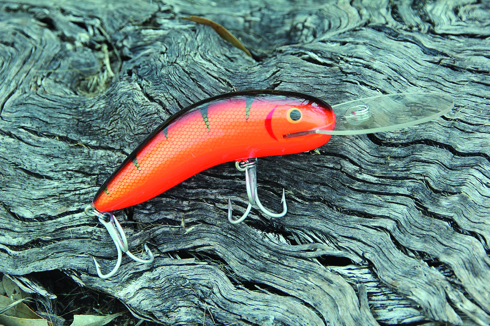 During the past four decades the author has used a lot of cod lures including some of the most renowned such as the Kadaitcha. He would rate the Cod Lolly among the top five without hesitation. It is Australian designed and owned. Yes its manufacture has been outsourced overseas but it is still much more Australian than the $35 bibless rattlers many are throwing at bass!