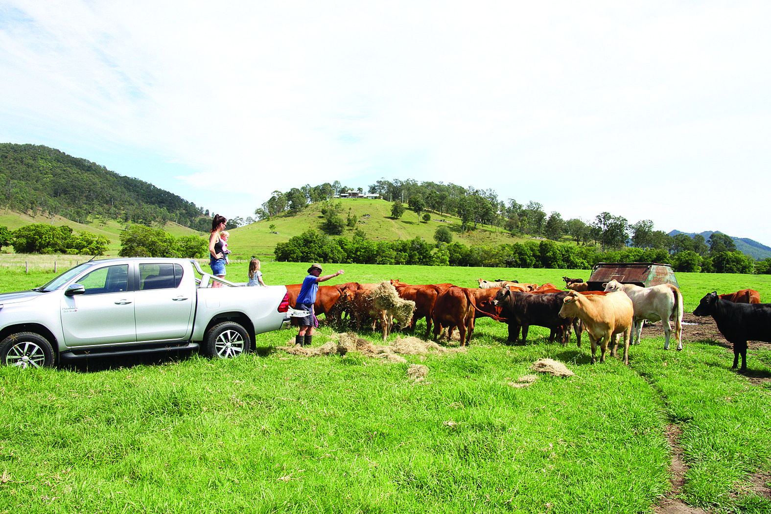 Equally at home on the farm or in the city.