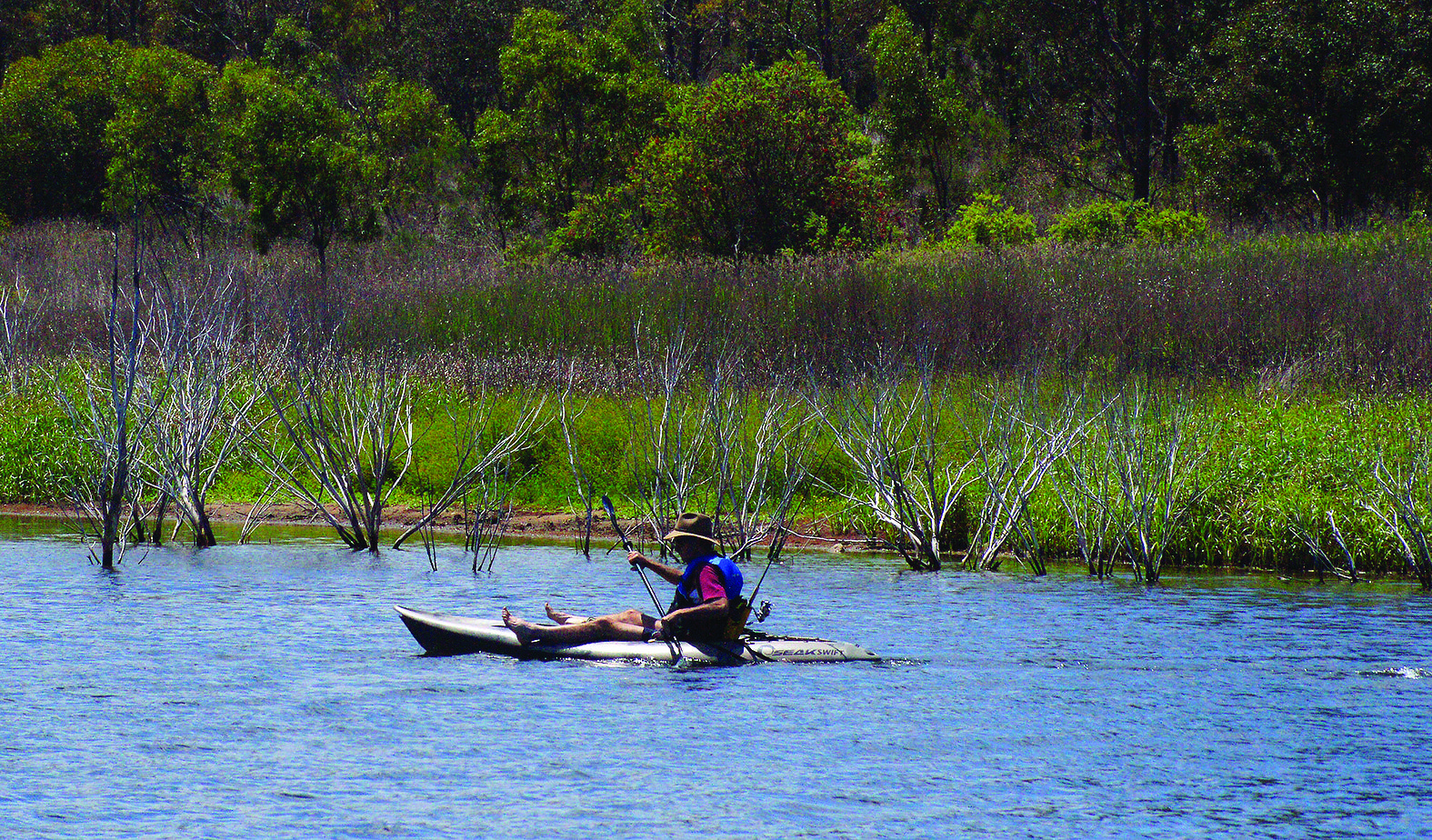 It is worthwhile investigating the corridors of limited timber and twigs around the lake shoreline with live baits and lures.