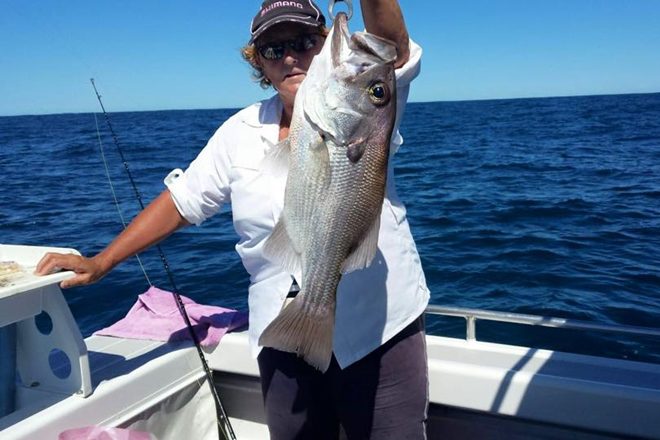 Tin Can Bay Boat Hire team member Sandra got offshore recently and boated this cracker pearl perch.