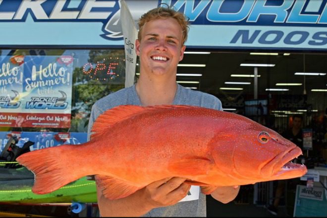 Ash Morgan went bottom bashing on Sunshine Coast and as you can see by the 66cm coral trout he's pictured with, it was a good move. Photo: www.fishingnoosa.com.au