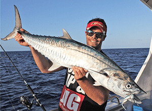 A Z-Man-crunching spanish mackerel landed by the author.