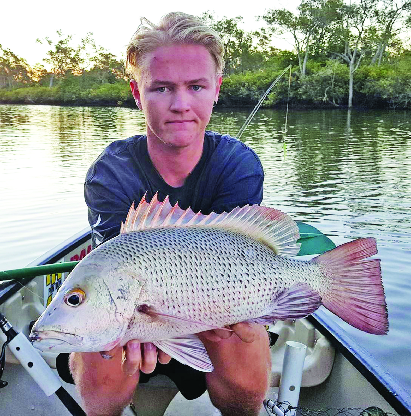 A light-coloured jack taken on surface late in the afternoon. 