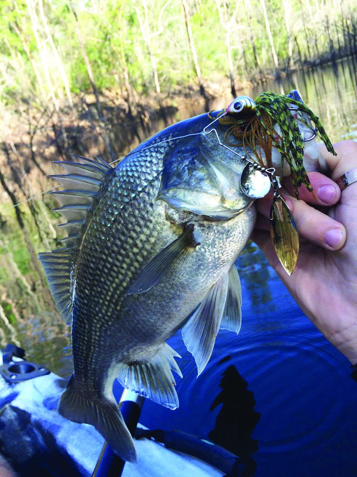 A Damiki Short Strike Spinnerbait triggered this bass to bite.