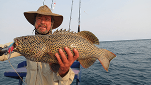 A solid passionfruit trout taken while camped at the Outer Great Barrier Reef.