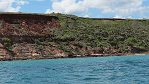 The pandanus trees on the right signal fresh water dribbling out of the bauxite cliff – a great emergency water source.