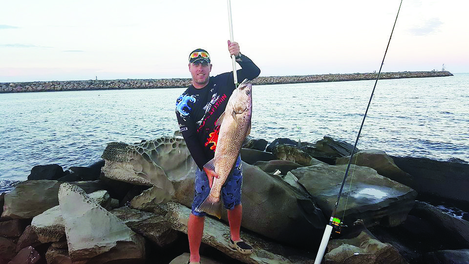 The author landed this 110cm, 15kg jewfish in Newcastle Harbour on a live yakka.