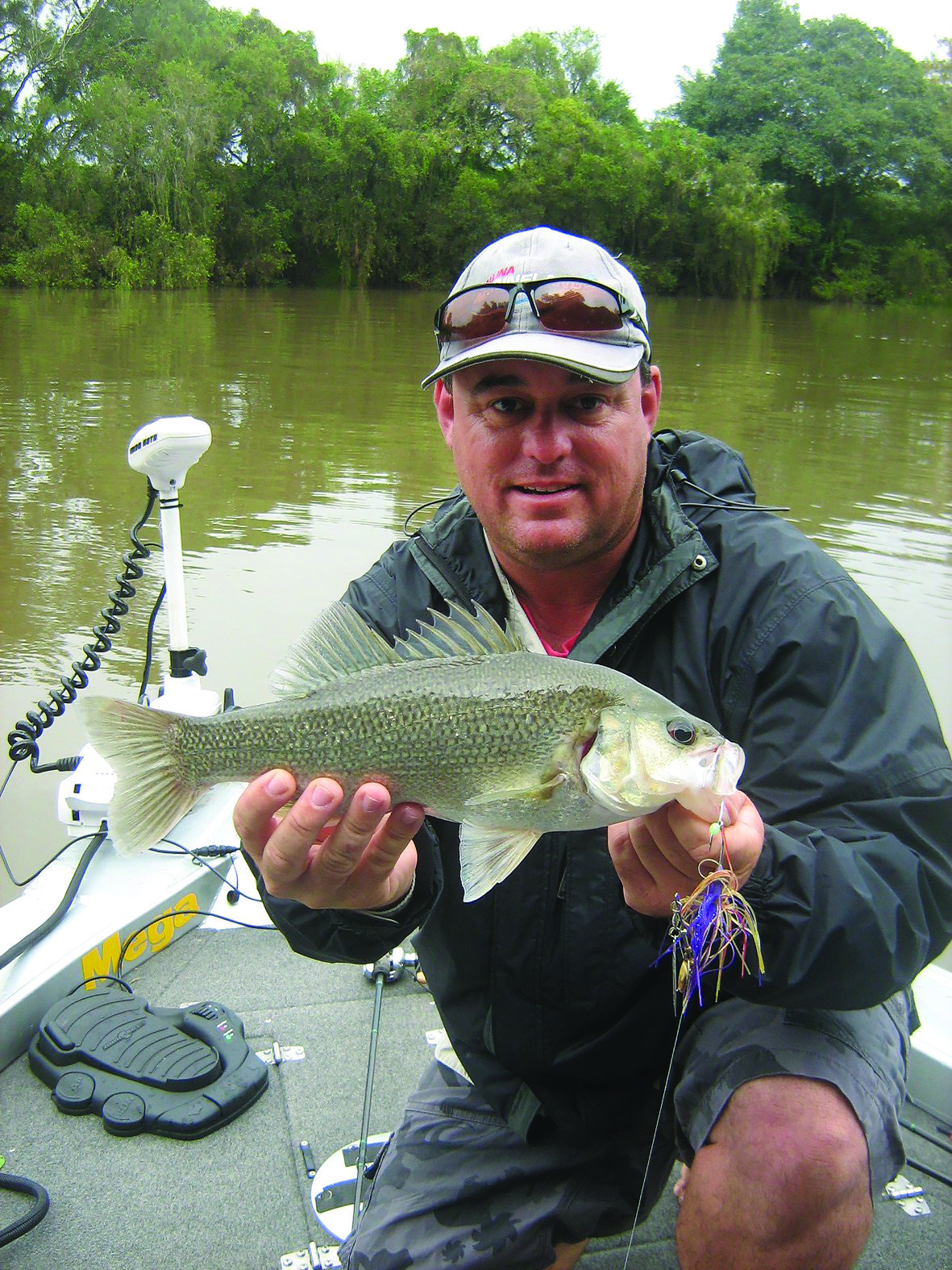 Adrian Melchoir landed a Richmond River bass on a Bassman Spinnerbait.