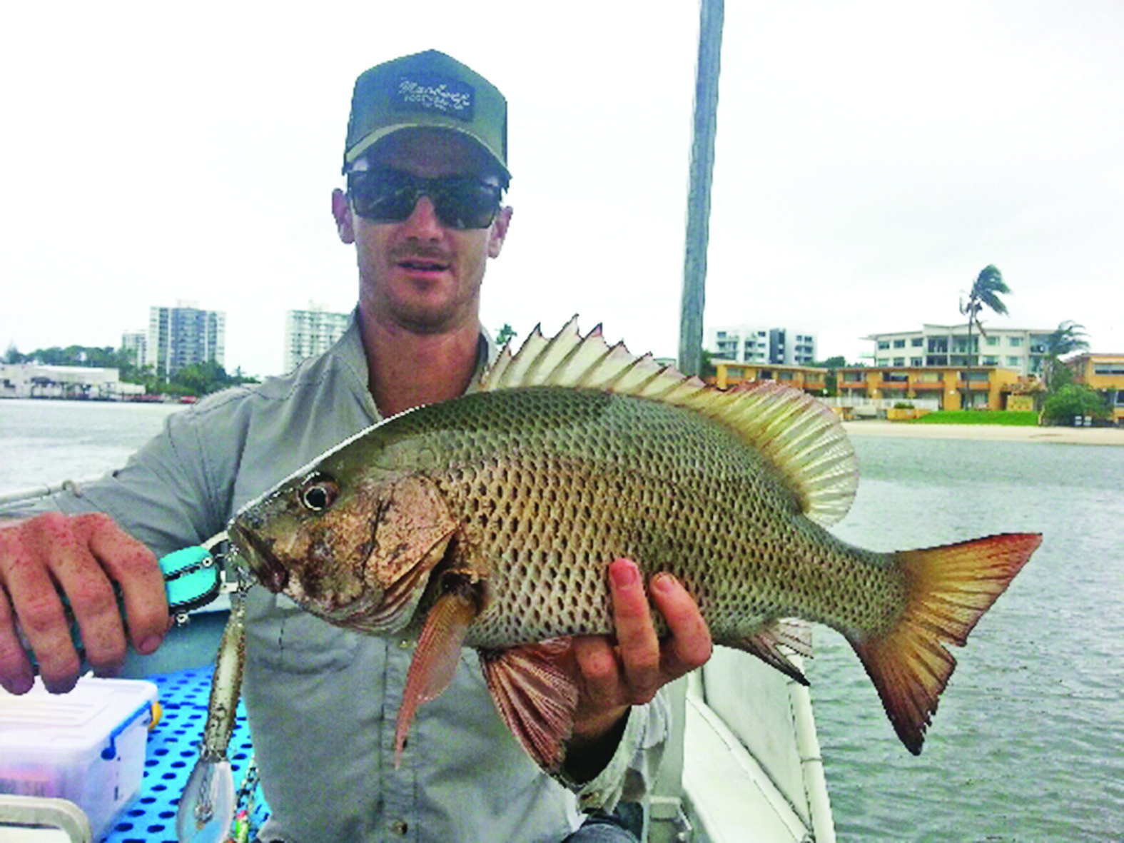 This quality jack fell victim to an Atomic 85DD lure trolled along the bottom over broken reef.