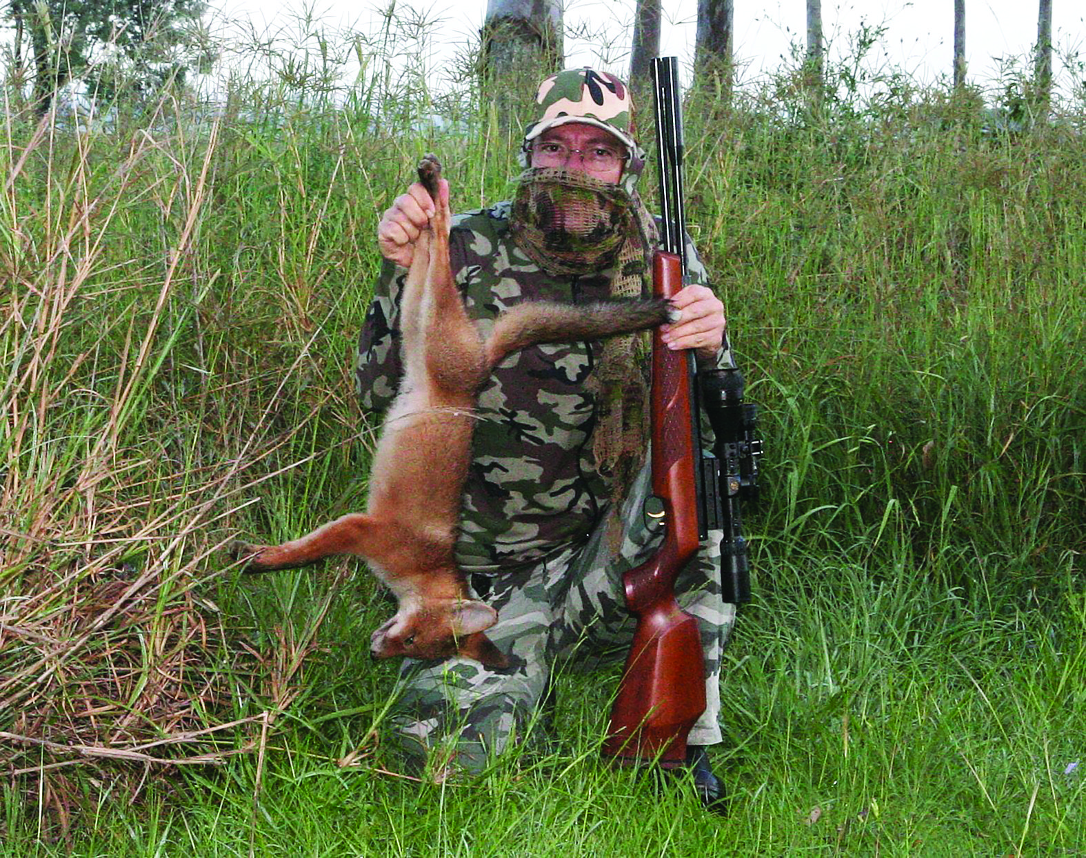 Juvenile foxes are often easier to call in than adults. The author had to shout at this one to get it to stop or he could have caught it by hand. Full camo gear is a good idea when whistling. The author removed his gloves in this shot purely to operate the timer on the camera.