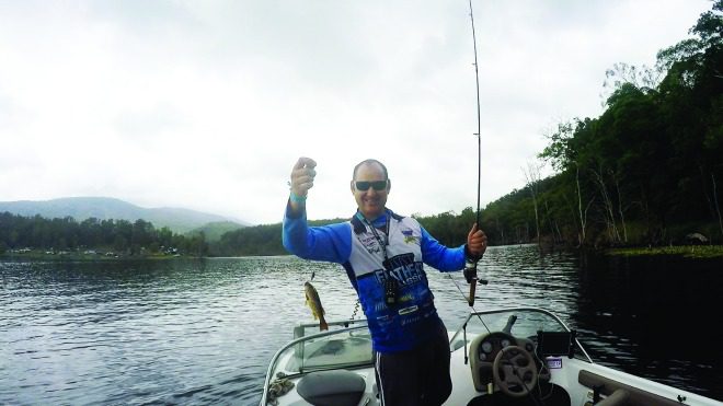 A spangled perch boated by the author.