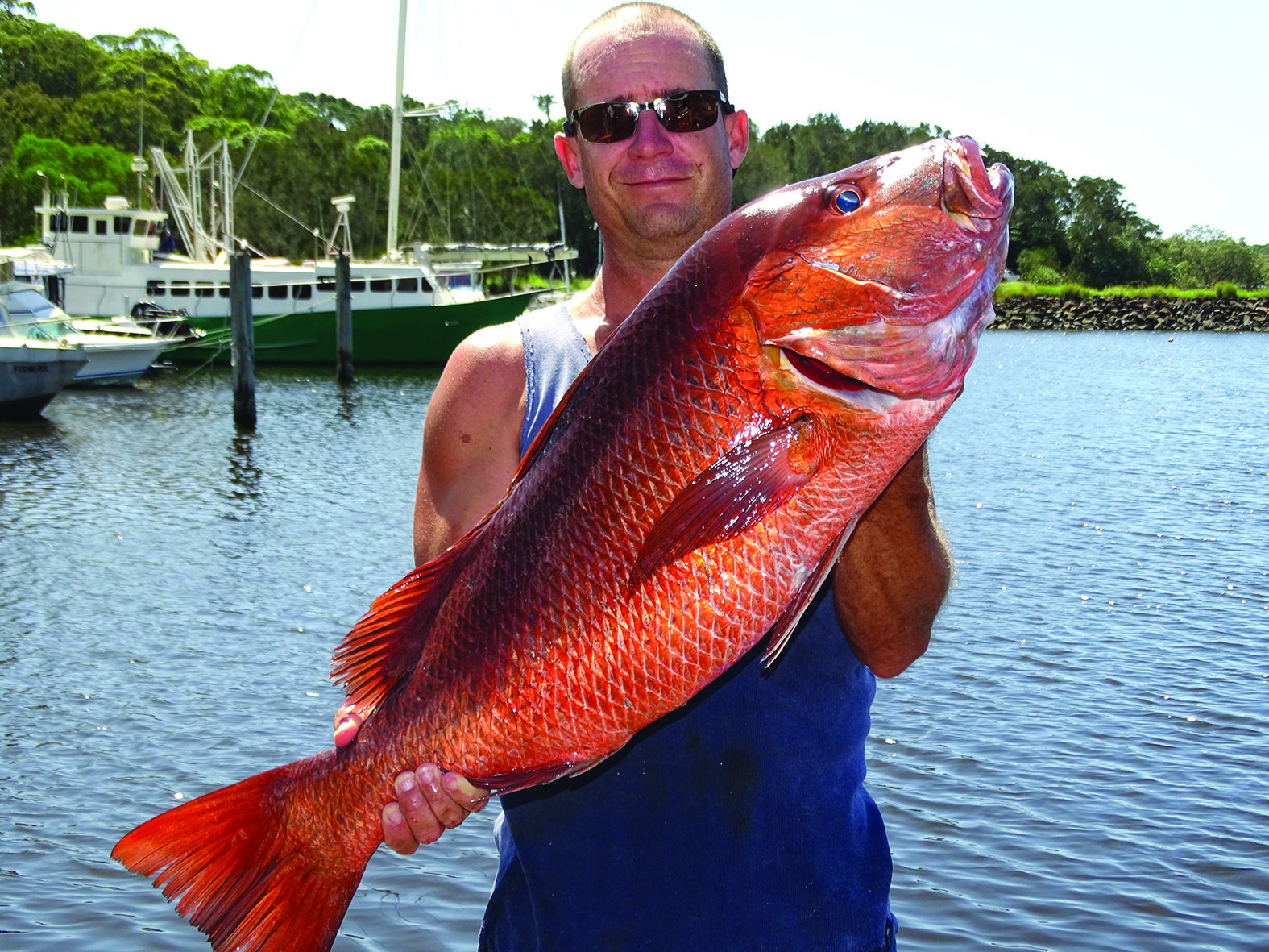 The author finally got a big version of his favourite fish.